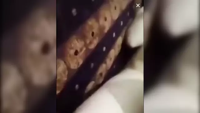 Türk amatör çift ev yapımı video